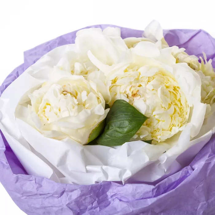 5 белых пионов