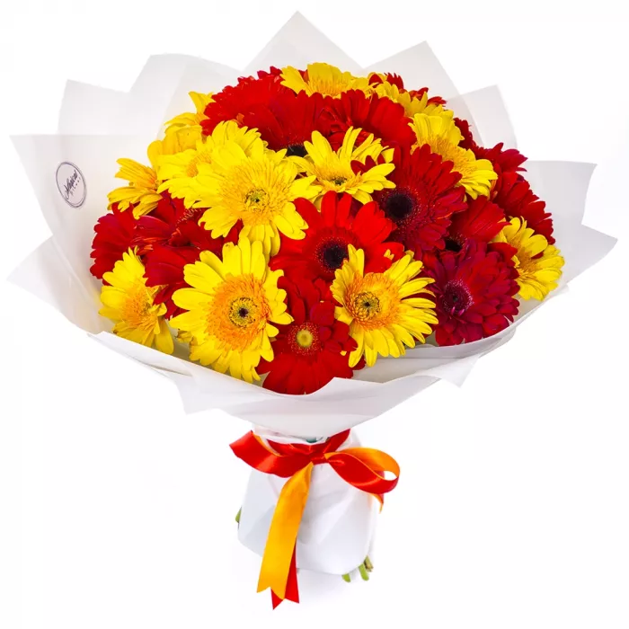 Букет из 29 разноцветных гербер