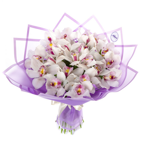 Букет из 25 белых орхидей