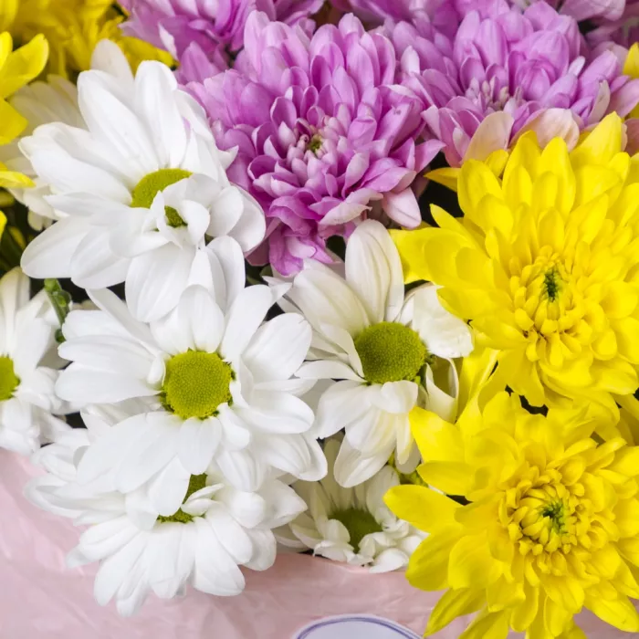 Букет из 9 разноцветных хризантем