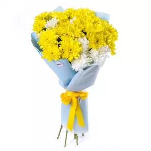 9 разноцветных хризантем