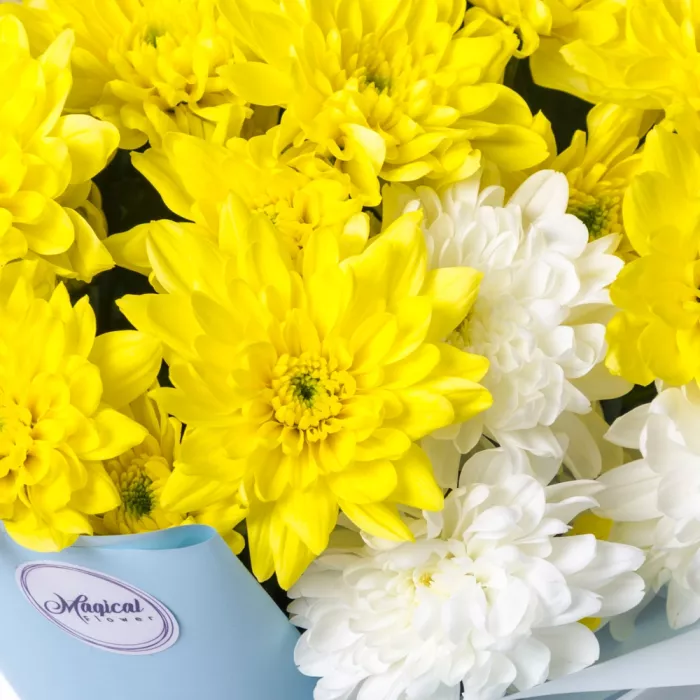 9 разноцветных хризантем