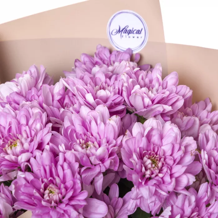 Букет из 3 сиреневых хризантем