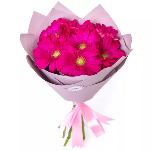 Букет из 7 малиновых гербер