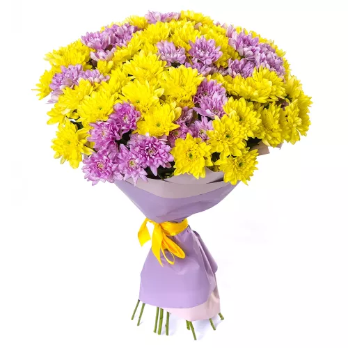 Букет из 19 разноцветных хризантем в пленке
