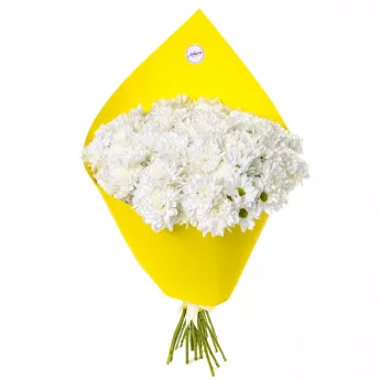 Букет из 19 белых хризантем