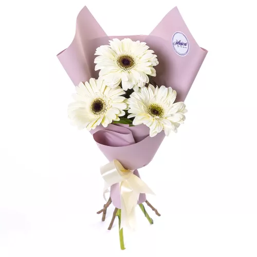 Букет из 3 белых гербер