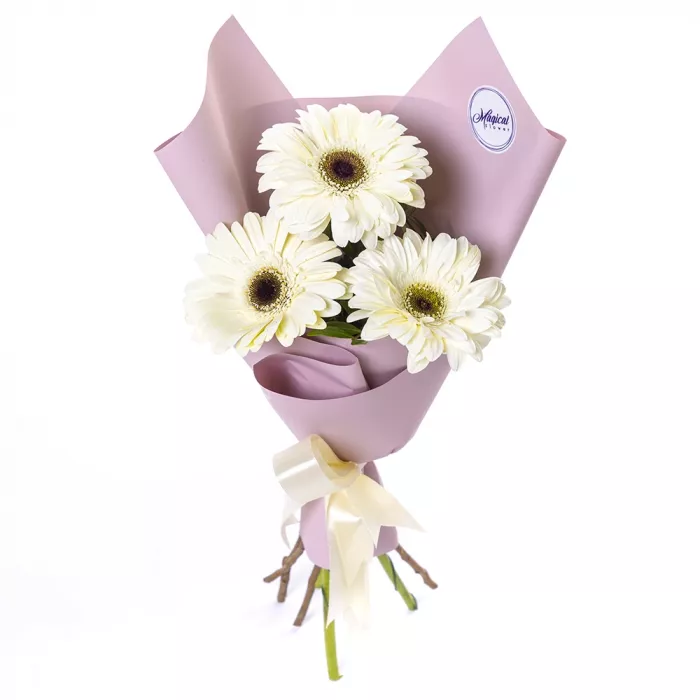 Букет из 3 белых гербер