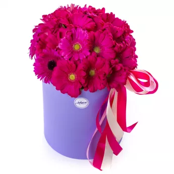 25 малиновых гербер в шляпной коробке