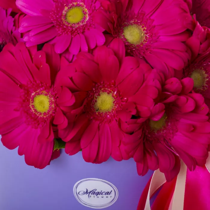 25 малиновых гербер в шляпной коробке