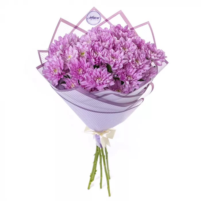 Букет из 5 фиолетовых хризантем в пленке