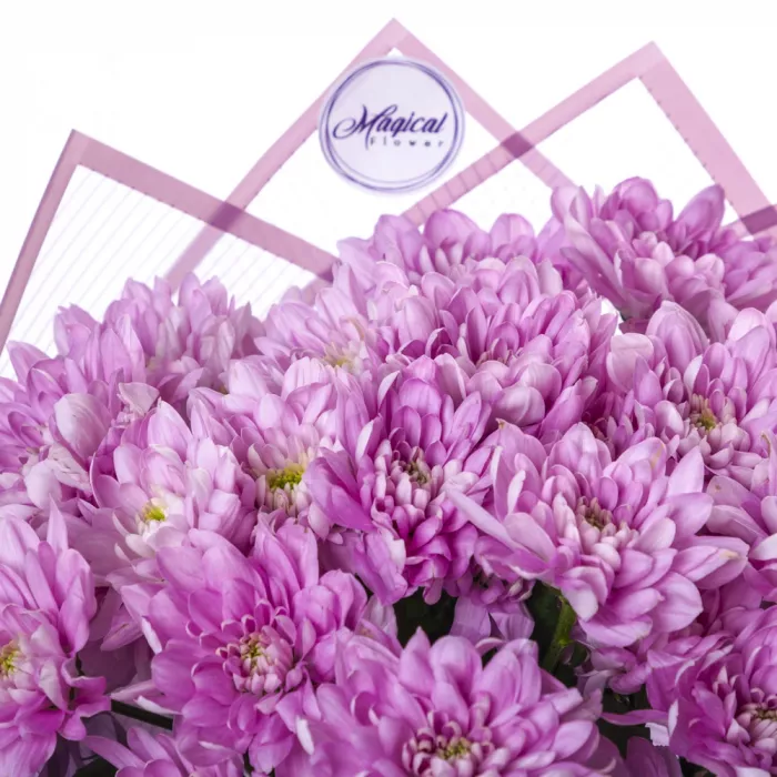 Букет из 5 фиолетовых хризантем в пленке
