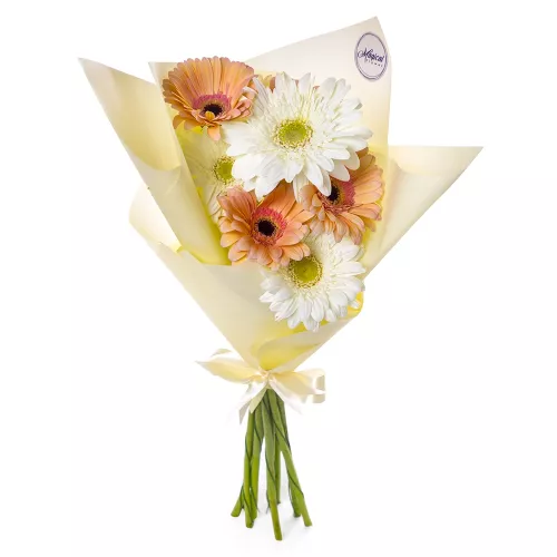 Букет из 9 разноцветных гербер