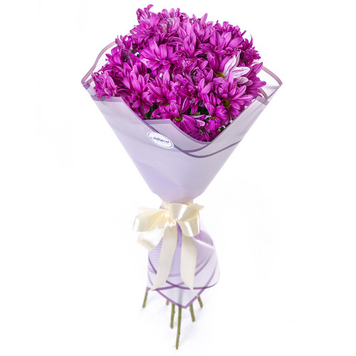 Букет из 7 фиолетовых хризантем