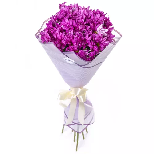 Букет из 7 фиолетовых хризантем