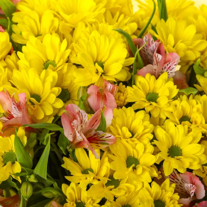 Букет из 11 желтых хризантем и альстромерий