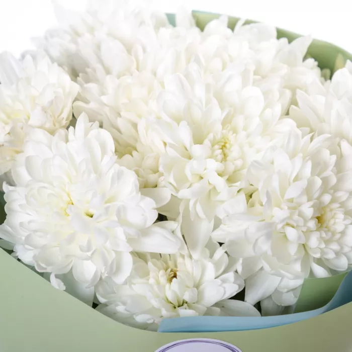 Букет из 3 белых хризантем