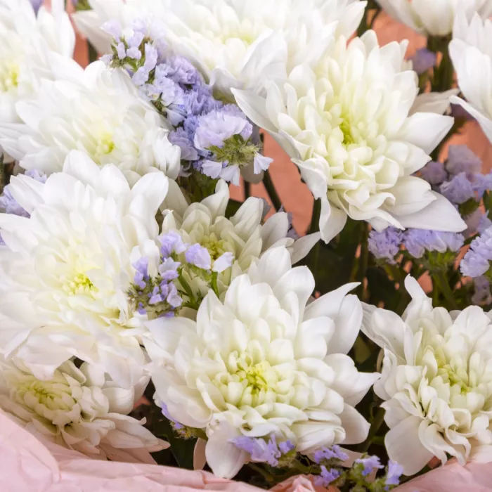 Букет из 3 белых хризантемы со статицей