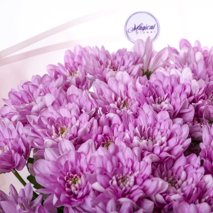 Букет из 7 сиреневых хризантем