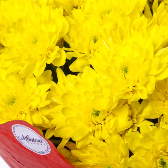 Букет из 21 желтой хризантемы