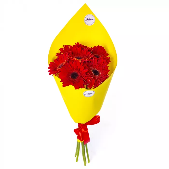 Букет из 7 оранжевых гербер Букет из 7 оранжевых гербер