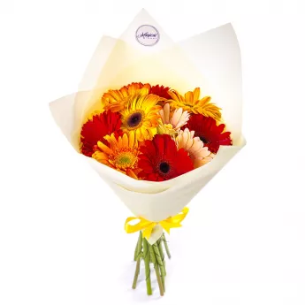 Букет из 11 разноцветных гербер