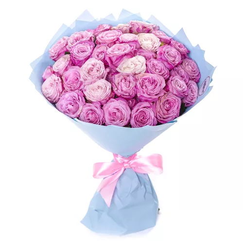 Букет из 23 розовых кустовых роз 50 см