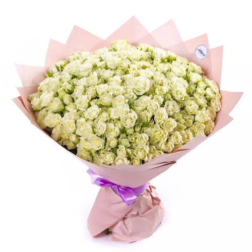 Букет из 101 белой кустовой розы