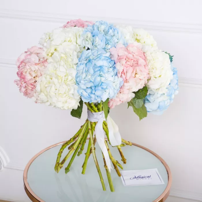 15 разноцветных гортензий