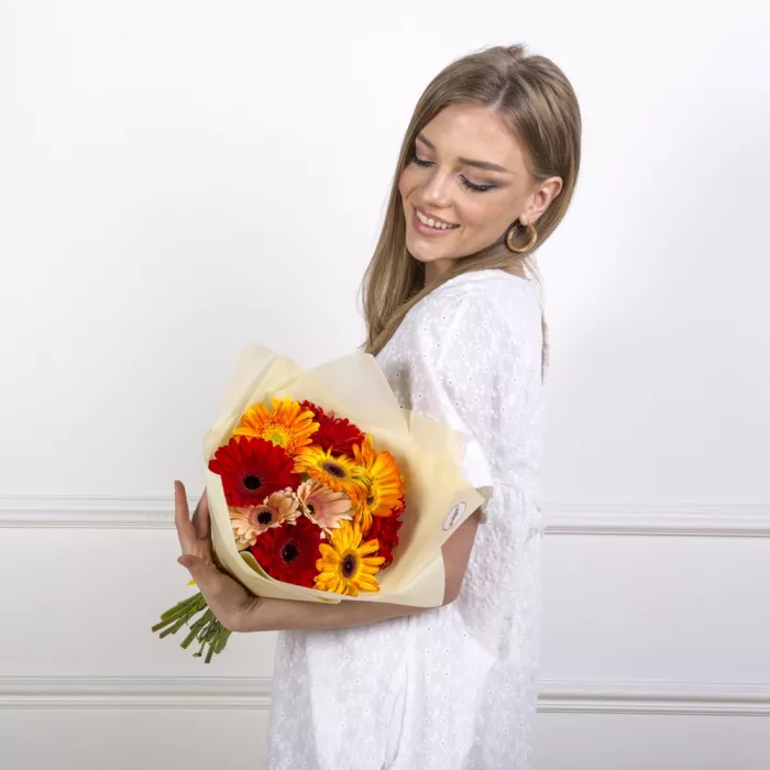 Букет из 11 разноцветных гербер