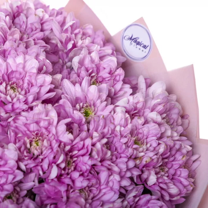 Букет из 19 сиреневых хризантем Букет из 19 сиреневых хризантем