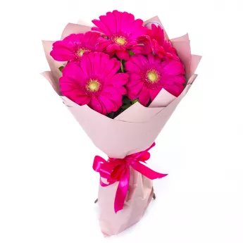 Букет из 5 малиновых гербер