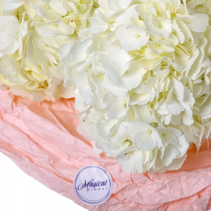 Букет из 9 белых гортензий