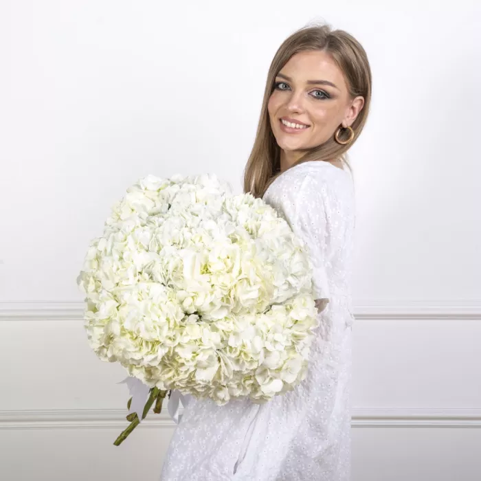 Букет из 11 белых гортензий
