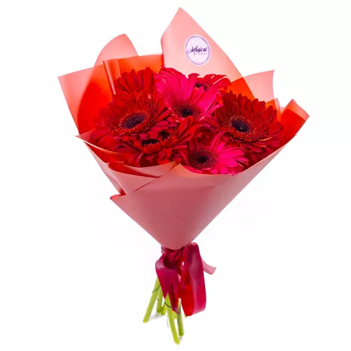 Букет из 7 красных гербер