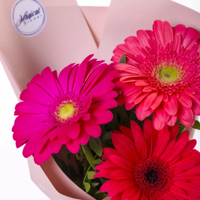 Букет из 3 разноцветных гербер