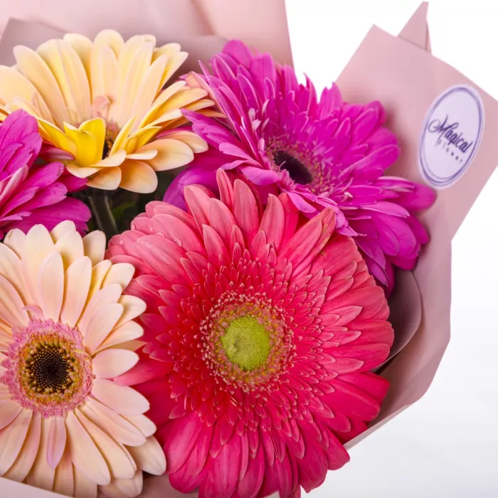 Букет из 5 разноцветных гербер