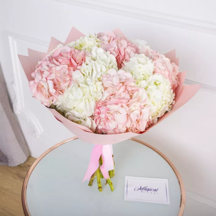 9 разноцветных гортензий