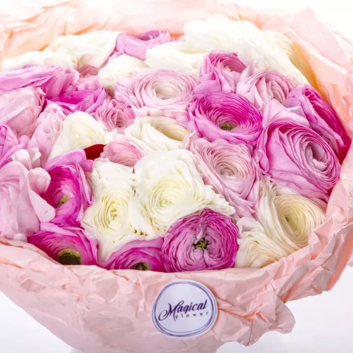 Букет из 35 разноцветных ранункулюсов