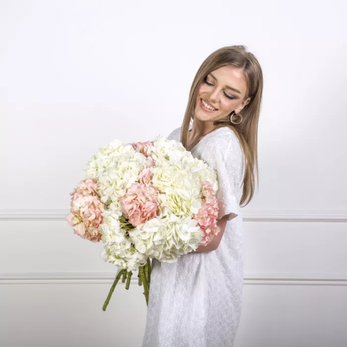 11 разноцветных гортензий