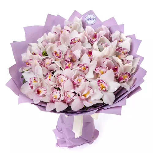 Букет девушке на день рождения из 35 розовых орхидей