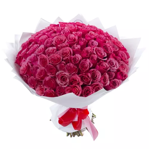 101 малиновая роза