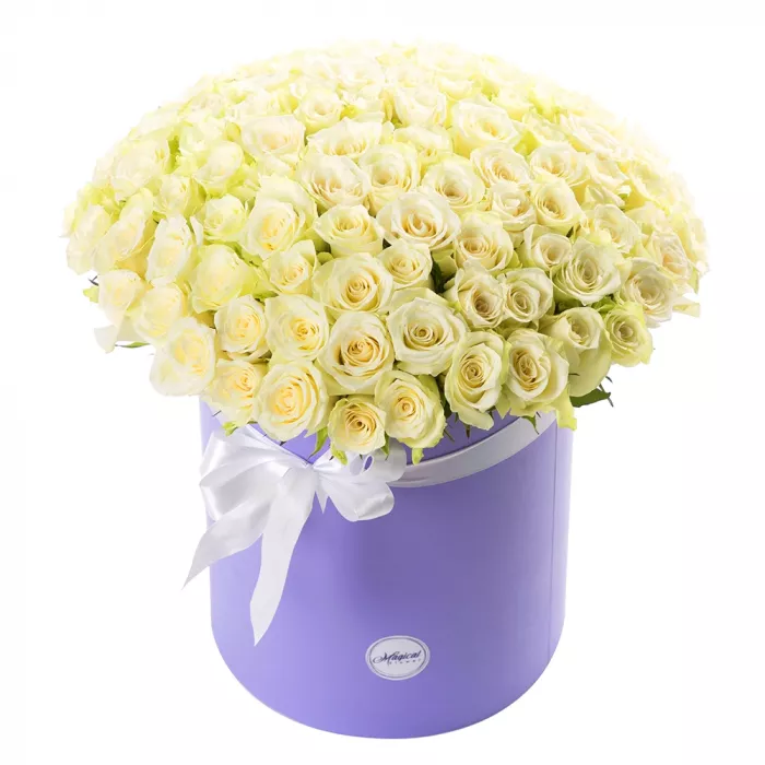 101 белая роза в шляпной коробке 101 белая роза в шляпной коробке