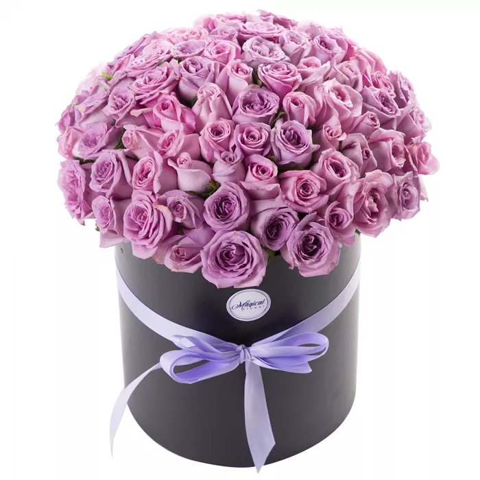 101 сиреневая роза в шляпной коробке