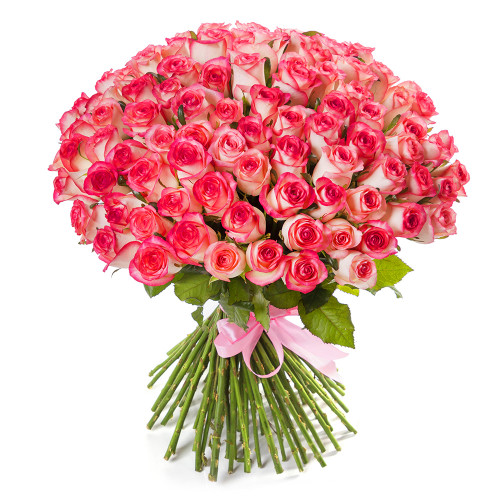 Букет на День матери 101 бело-малиновая роза premium 60 см