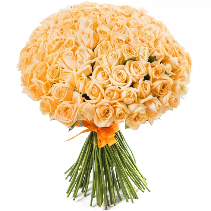 Букет из 101 кремовой розы 60 см