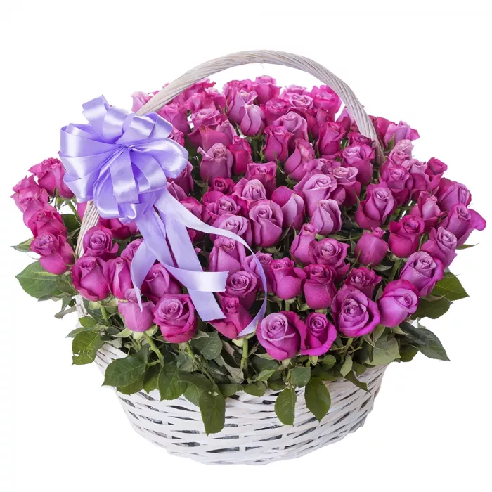 101 сиреневая роза в корзине с лентой
