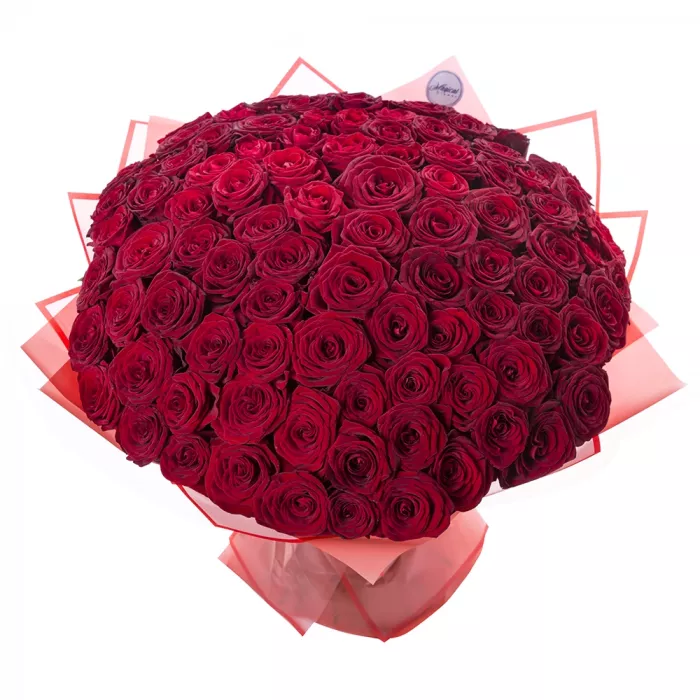 Букет из 101 красной розы 60 см