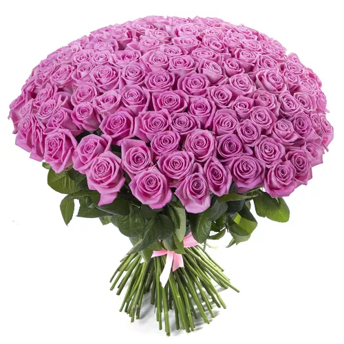 Букет из 101 розовой розы 50 см под ленту