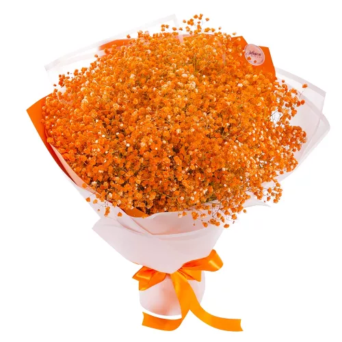 Букет цветов из 15 оранжевых гипсофил в упаковке